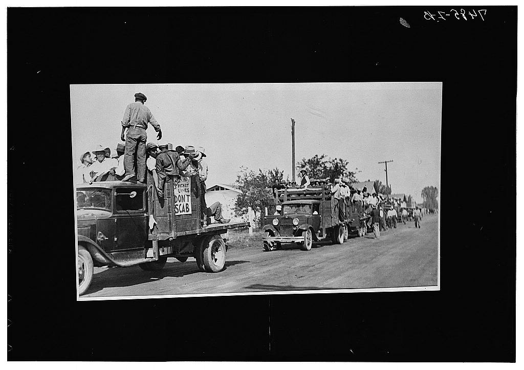 Trucks loaded with striking cotton workers in a 1933 picket line near Corcoran, California, one truck marked with a hand-lettered DON'T SCAB sign.